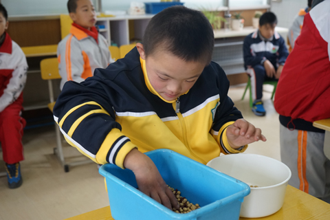 宝应特校在“扬州市智障学生生活技能大赛”中成绩喜人